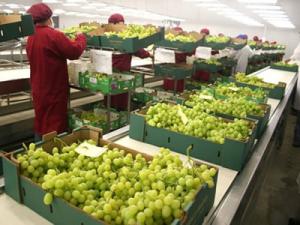 VOLUMEN DE PRODUCTOS EXPORTADOS POR EL AGRO CRECIÓ 108.3% EN FEBRERO