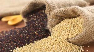 VOLÚMEN EXPORTADO DE QUINUA CRECIÓ 71% el 2013