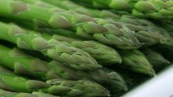 Agrícola Cerro Prieto exportó 5.600 toneladas de espárragos frescos en 2025