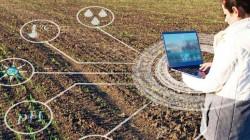 Agricultores del mundo frenan sus compras, pero apuestan por la inteligencia artificial
