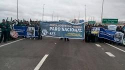 Agroexportadores de Tacna pierden unos cinco millones de soles semanales por huelga del Senasa
