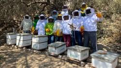 Áncash: apicultores culminan capacitación en Moro y Pamparomás