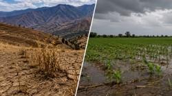 Anpe Perú alerta sobre los riesgos del Fenómeno El niño para la agricultura