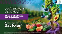 Bayfolan® Soil: la fuerza de una cepa única para construir raíces más productivas