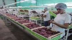 BCR: Empleo formal total (público y privado) en Perú creció 5.5% entre enero y abril de 2025, respecto a similar periodo del año anterior