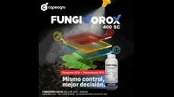 Capeagro presenta Fungivorox 400 sc
