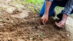 Cementos Yura invierte S/ 500 mil para asistencia técnica de agricultores arequipeños