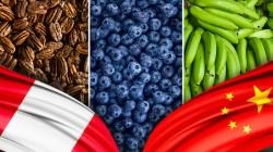 ComexPerú: oferta agroexportable de Perú hacia China tiene la oportunidad de seguir diversificándose