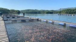 Comité de Pesca y Acuicultura de ADEX trabaja por la trazabilidad y sostenibilidad del sector