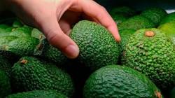 Consumo per cápita de palta Hass en EE. UU. Expone profunda brecha comercial entre regiones