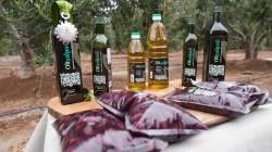 Cooperativa tacneña se convierte en referente internacional del aceite de oliva