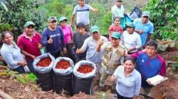 Cooperativas agrarias pagarán mayores tributos que empresas agroexportadoras, según Ley 32434