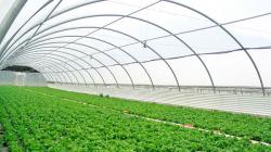 “Cuando la sierra esté llena de invernaderos con ayuda de la minería formal, la gente rechazará la minería ilegal”