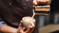 Del grano a la cadena: ¿Cómo escalar el café peruano al nivel global?