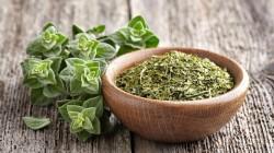 Despachos de orégano muestran incremento del 6% en volumen hasta agosto