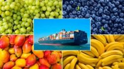 Despachos vía marítima concentraron el 88.47% de las agroexportaciones peruanas hasta abril
