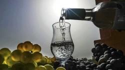 Dictan medidas cautelares para proteger la Denominación de Origen Pisco en Tacna
