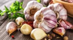 El ajo de Huanca tiene un enorme potencial de exportación