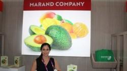 "El día que toda China consuma palta, la oferta mundial no será suficiente"