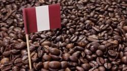 El sector café se consolida como una importante fuente de empleo