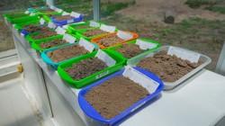 Entregan Mapa de Fertilidad del Suelo Agrario para la región de Puno