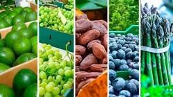 Estados Unidos y Países Bajos concentraron el 53% del total de las agroexportaciones