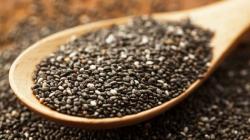 Exportación de chía sudamericana se fortalece pese a retos climáticos: Perú es protagonista