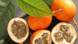Exportación de granadilla ascendió a 177 toneladas por US$ 769 mil a junio de 2026