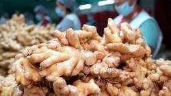 Exportación de jengibre peruano superó las 50 mil toneladas por alrededor de US$ 90 millones