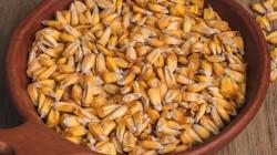 Exportación de maíz chullpi sumaron US$ 2 millones en primer trimestre del año