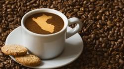 Exportaciones de café alcanzaron los US$ 325 millones en la primera mitad de 2026
