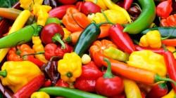 Exportaciones de capsicum de Perú sumaron US$ 112 millones entre enero y abril de este año, reflejando un aumento de 6%