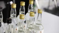 Exportaciones de pisco alcanzaron los US$ 9.5 millones en 2025, mostrando un alza de 11.95%