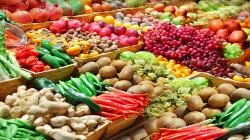 Exportaciones hortofrutícolas de España crecen 2% en volumen y 10% en valor entre enero y abril de 2025