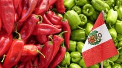 Exportaciones peruanas de capsicum sumaron US$ 223.697.000 entre enero y septiembre de 2024, mostrando un alza de 0.55%