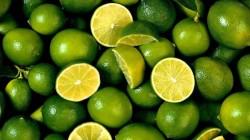 Exportaciones peruanas de limón fresco crecieron 44% en volumen y 35% en valor en el primer trimestre del 2025
