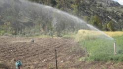 Facultades Legislativas en Materia Agraria: ¿Qué tan efectivas pueden ser?