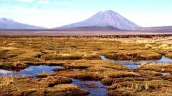 Fortalecen seguridad hídrica con recuperación de ecosistemas altoandinos