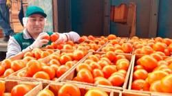 Frutas participaron con el 59% de las agroexportaciones peruanas hasta abril