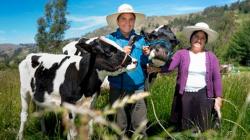 Ganaderos de Lima exigen al Midagri derogatoria de la R.M. 343-2025