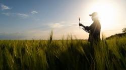 GlobalG.A.P.: De requisito a ventaja estratégica clave para la agroexportación