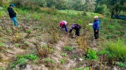 Gobierno activa Seguro Agrícola para atender a productores agrícolas que puedan ser afectados por heladas