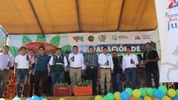 GORE Junín entrega 25.000 plantones forestales a la comunidad campesina de Uchubamba en Jauja