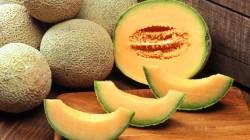 Guatemala se consolidó como mayor exportador mundial de melón por volumen en 2024