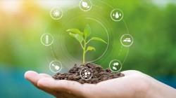 Hoja de Ruta de la Economía Circular es un gran paso hacia una agricultura sostenible
