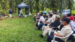 Husqvarna, aliada del agricultor peruano