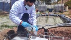 Investigador de la UNALM diseña humedales híbridos para tratar lixiviados tóxicos en Cusco