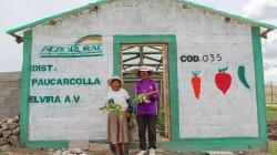 Invierten S/ 13.8 millones en fitotoldos para proteger cultivos de heladas en 14 regiones