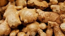 Jengibre se consolida como el décimo segundo producto vegetal de mayor exportación en Perú