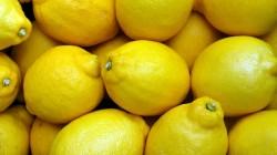 La producción de limón de Chile crecerá 6.7% en la campaña 2023/2024